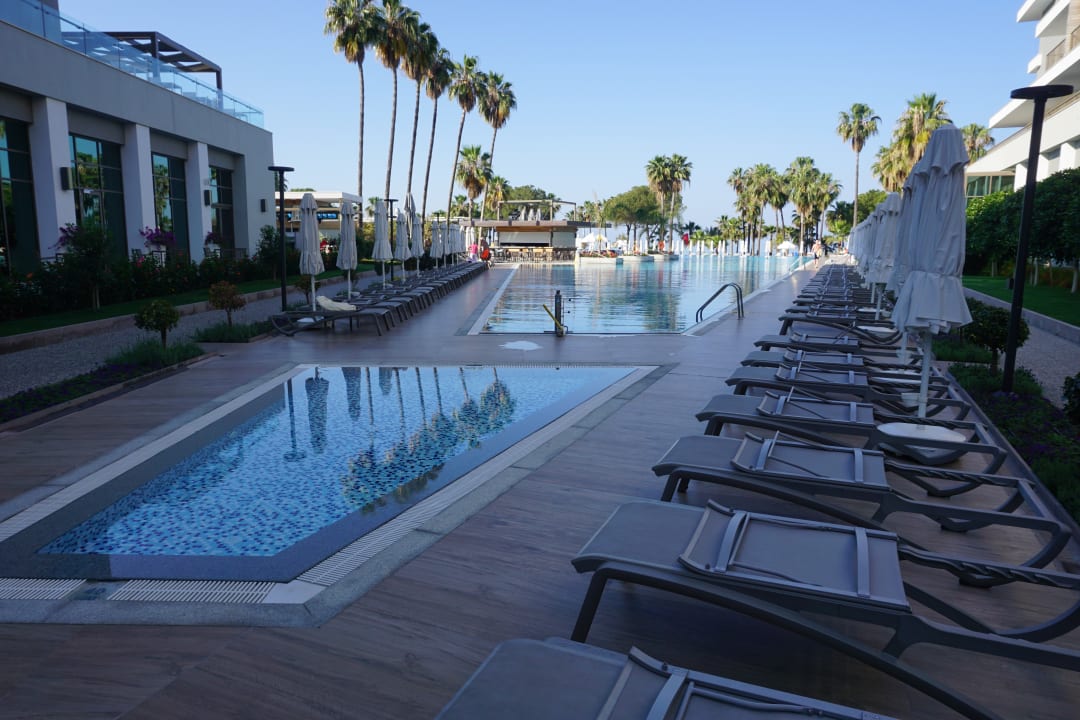 Pool Acanthus Cennet Barut Collection