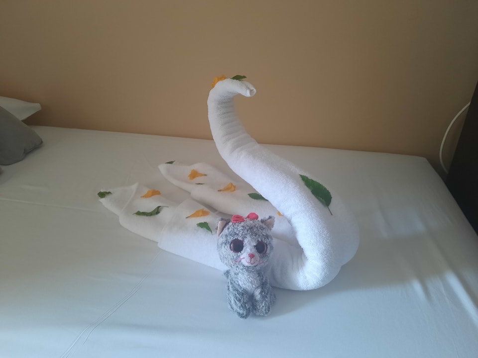 Zimmer Jaz Dar EL Madina