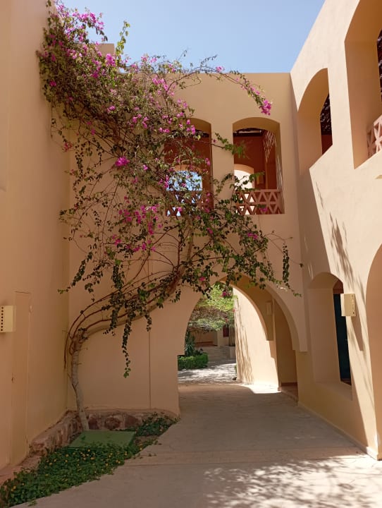 Sonstiges Steigenberger Coraya Beach - Adults only