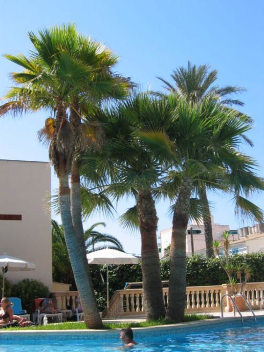 Poolbereich Hotel Metropolitan Playa