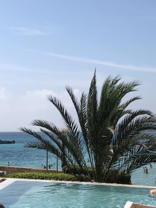 Ausblick Son Moll Sentits Hotel & Spa