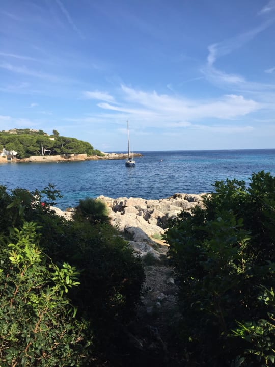Ausblick Iberostar Waves Pinos Park