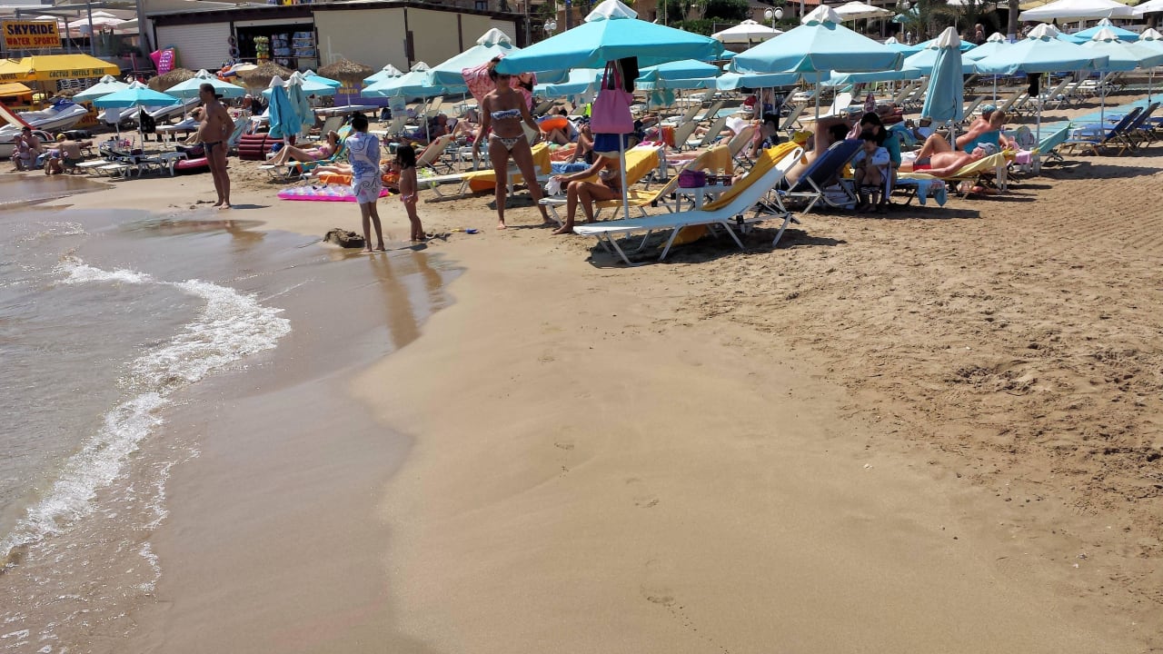 Strand ein Stück nach links Cactus Royal