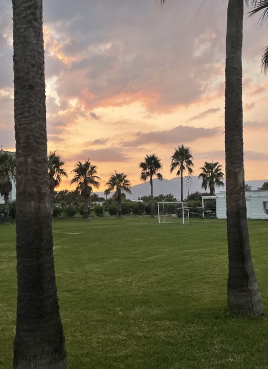 Gartenanlage Delfina Tropic Beach