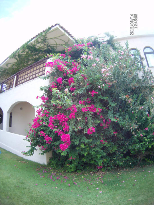 Корпус Апполо. Hotel Aphrodite Beach Club