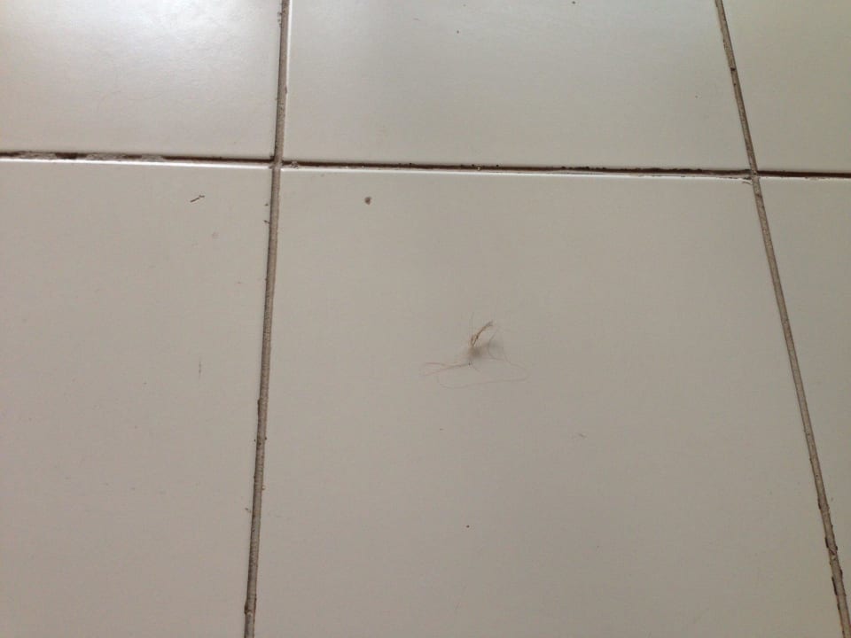 Fund direkt nach dem Zimmerservice Nour Palace Resort & Thalasso