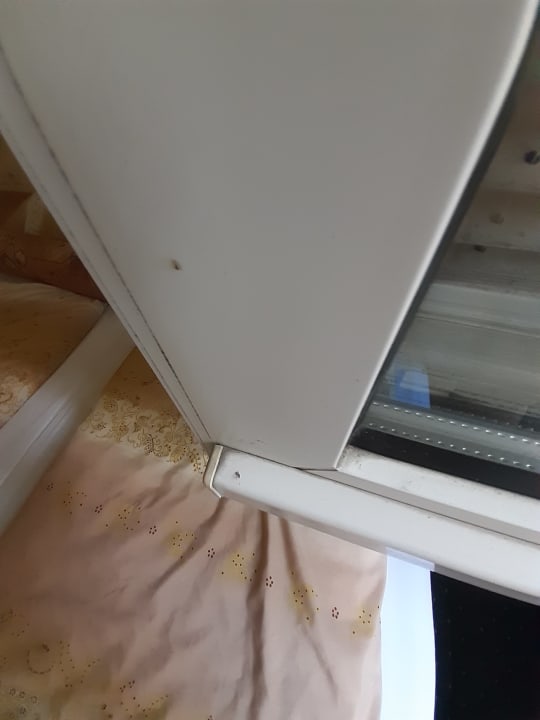 Zimmer Hotel Waldidyll