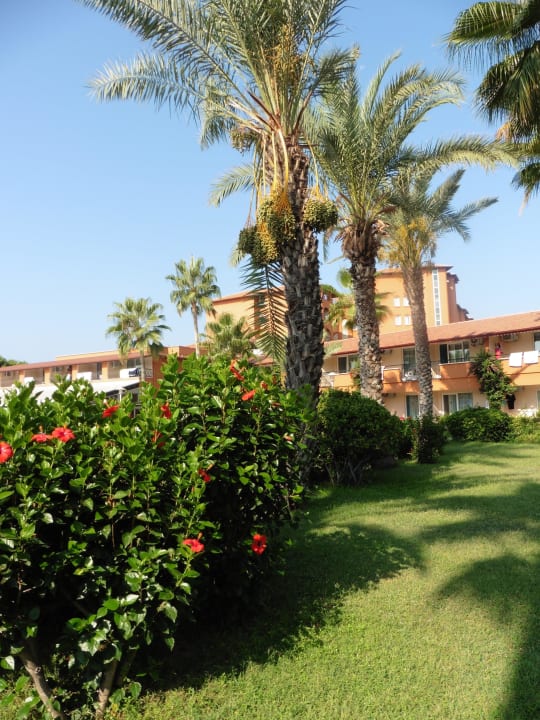 Viel gepflegtes Grün überall Club Turtas Beach Hotel