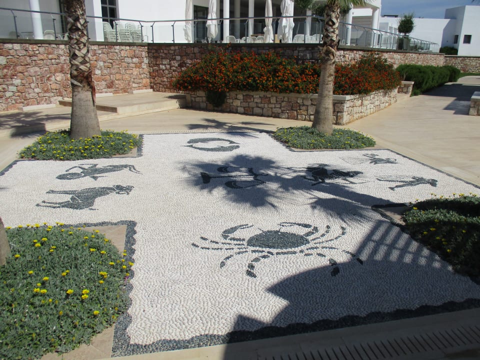 Sonstiges Atlantica Plimmiri