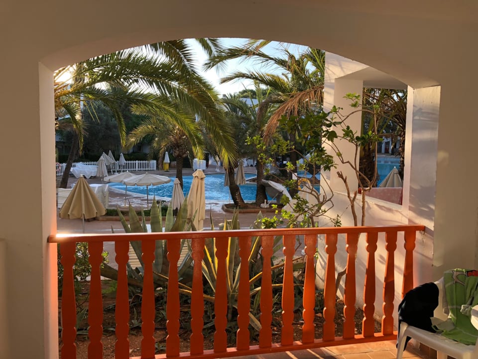 Ausblick Calimera Fido Gardens