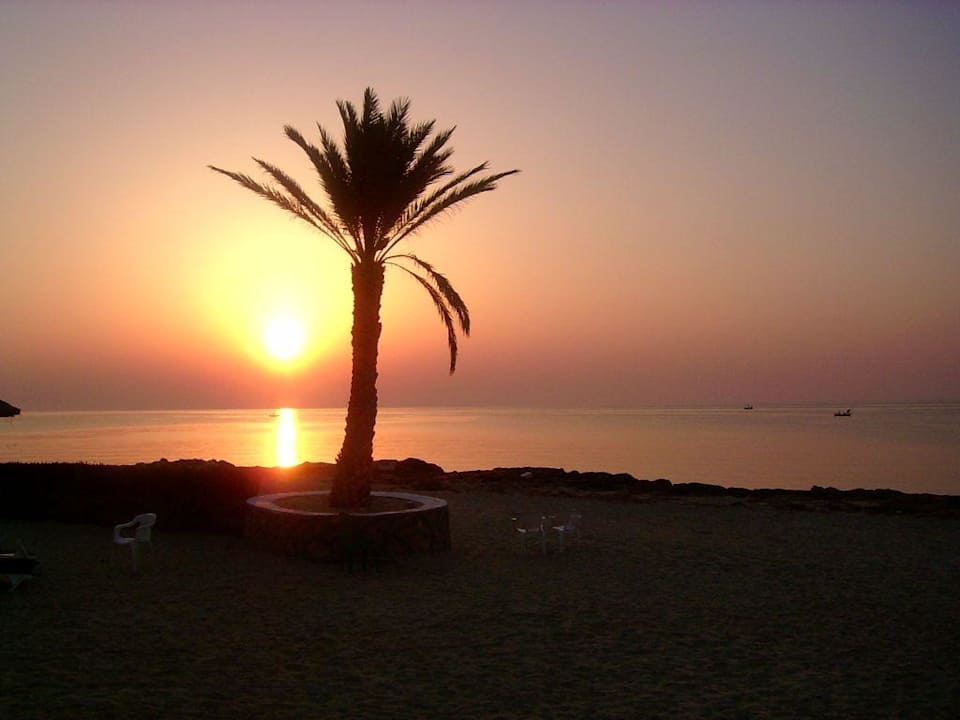 Sonnenaufgang um 6.00 Hotel El Mouradi Djerba Menzel