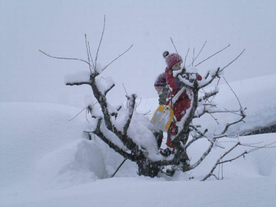 Winter Pension Haus Niedermoser
