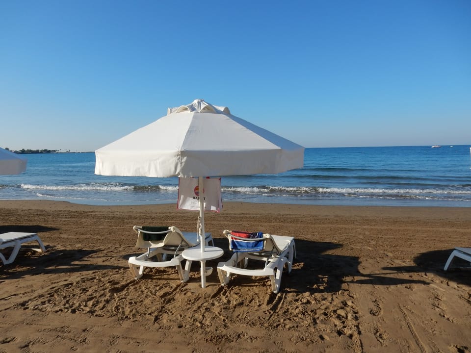 Strand Acanthus Cennet Barut Collection