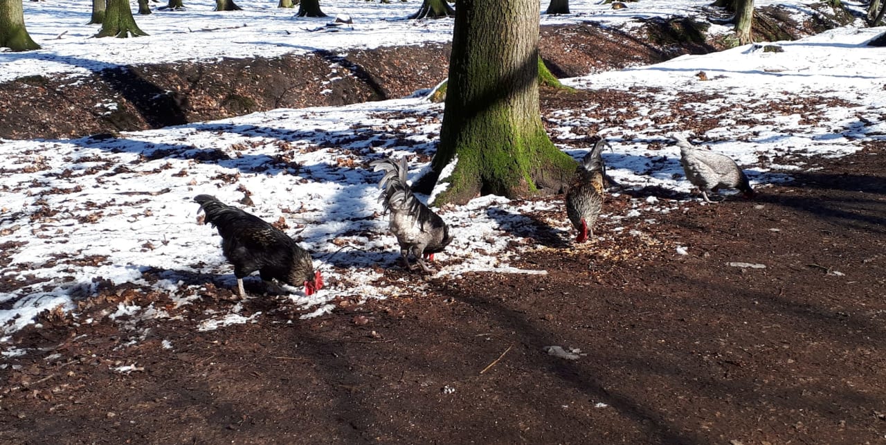 Gartenanlage Vila Vita Burghotel Dinklage