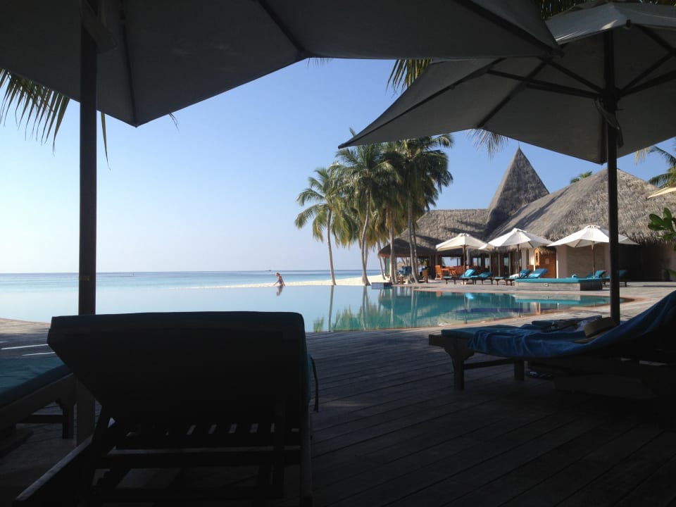 Pool mit Bar im Hintergrund Veligandu Maldives Resort Island