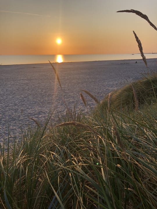 Ausblick Regenbogen Ferienanlage Prerow