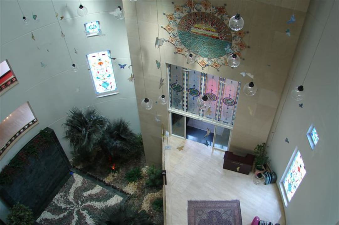 Imposant Papillon Ayscha