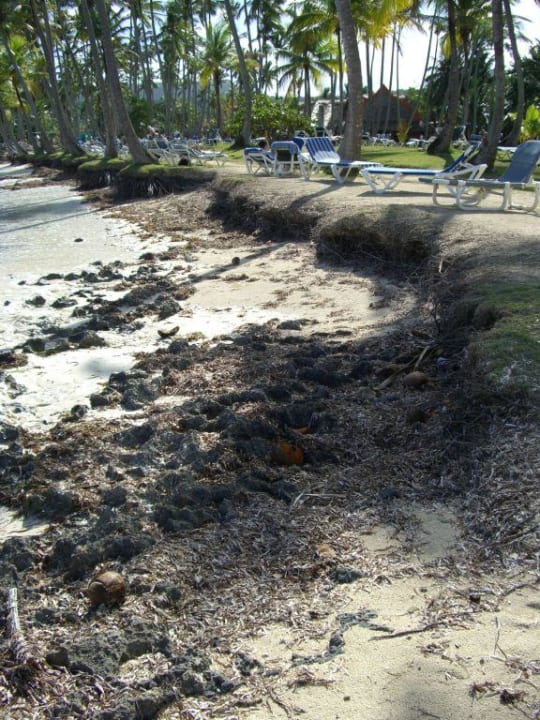 Hotelstrand Wyndham Alltra Samana