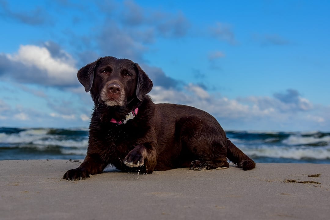 Strand Ferienanlage Vierjahreszeiten