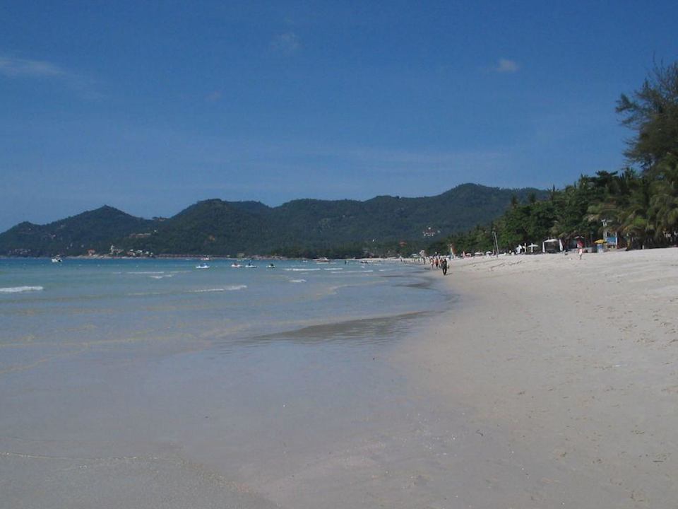 Am Strand! Im Paradies Banana Fan Sea Resort