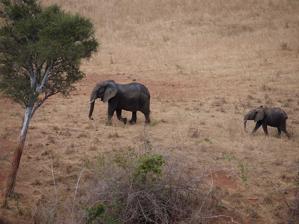 Rhino Valley Lodge Rhino Valley Lodge