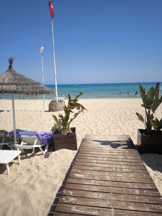 Strand Hotel Royal Nozha