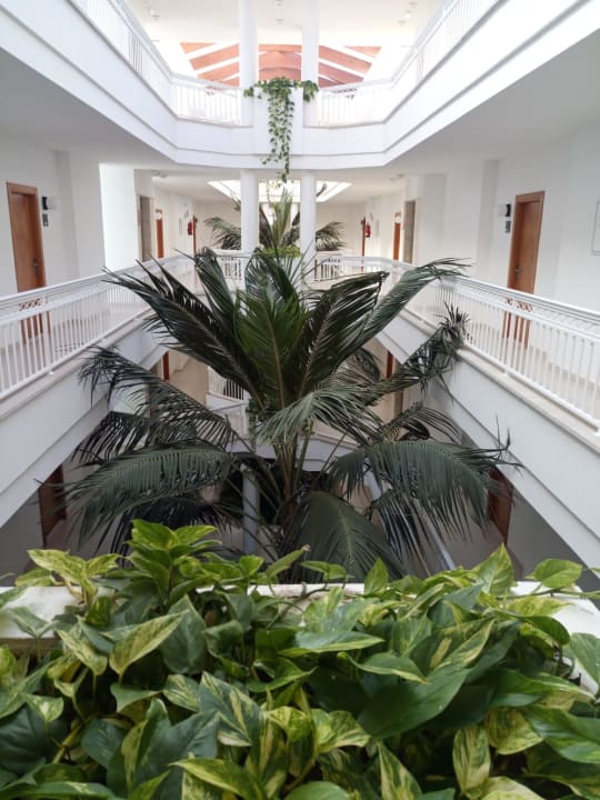 Sonstiges Prinsotel La Dorada