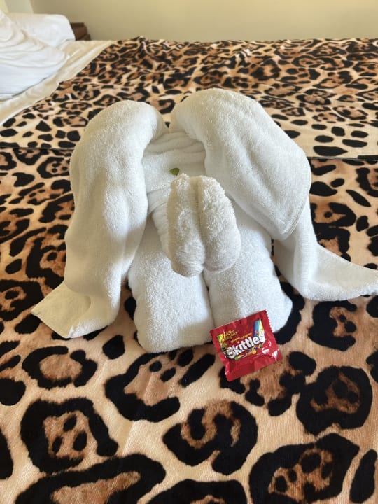 Zimmer Melia Las Antillas - Adults only