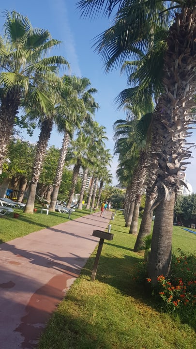 Gartenanlage Saturn Palace Resort Hotel