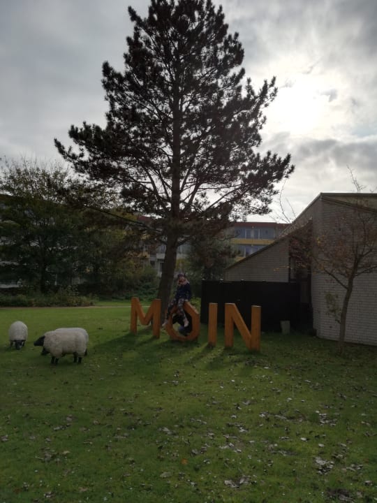 Garten Ferienwohnungen Ferienpark Weissenhäuser Strand