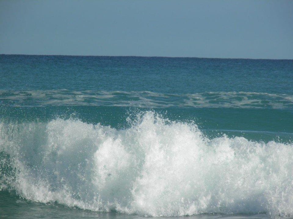 Karibisches Meer Starfish Cuatro Palmas