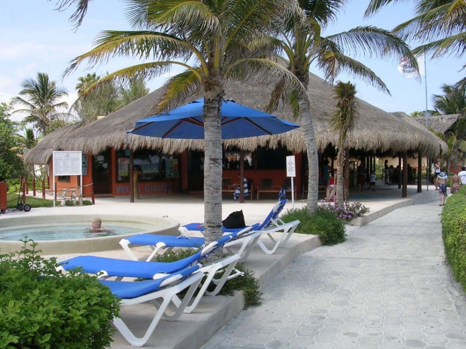 le snake bar Akumal Bay Beach & Wellness Resort