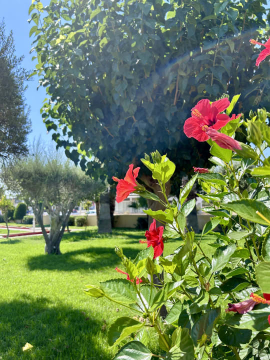 Gartenanlage Atrium Palace Thalasso Spa Resort & Villas
