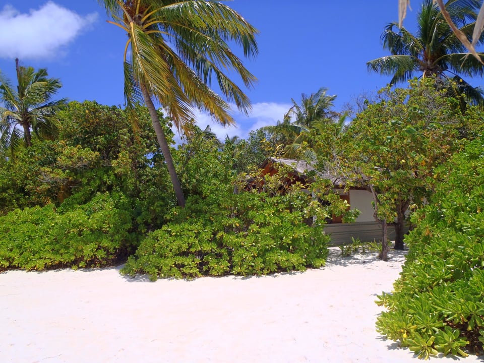 Reethi Beach NH Collection Maldives Reethi Resort
