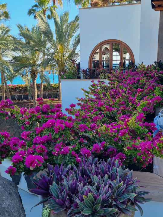 Gartenanlage Princesa Yaiza Suite Hotel Resort