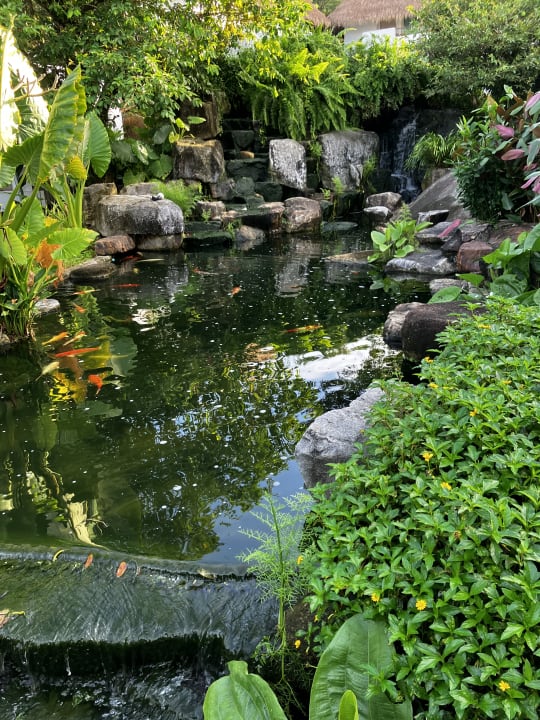 Gartenanlage Eden Beach Resort & Spa, A Lopesan Collection Hotel