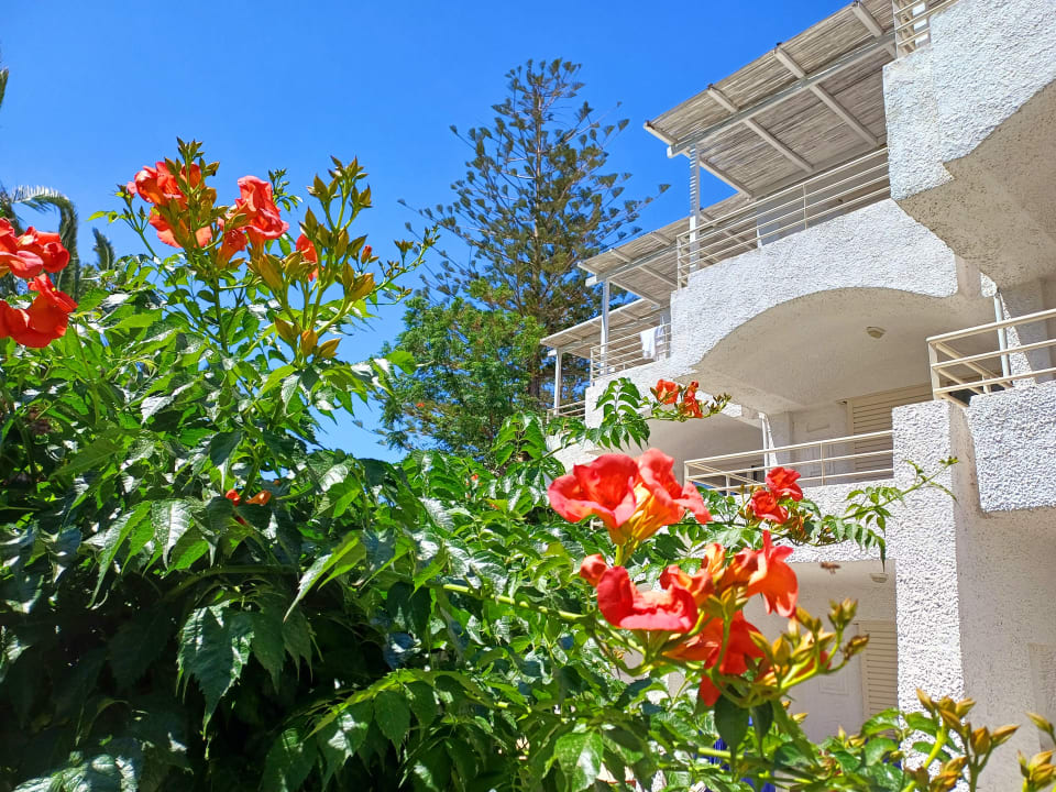 Gartenanlage Apollonia Beach Resort & Spa