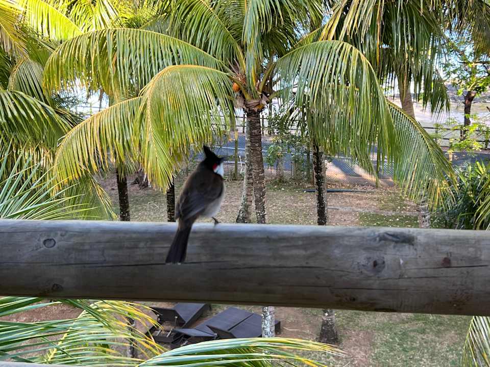 Zimmer Coin de Mire Attitude