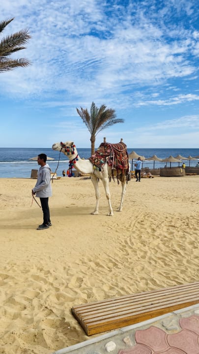 Strand Three Corners Sea Beach Resort