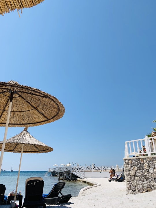 Strand Design Plus Seya Beach Hotel