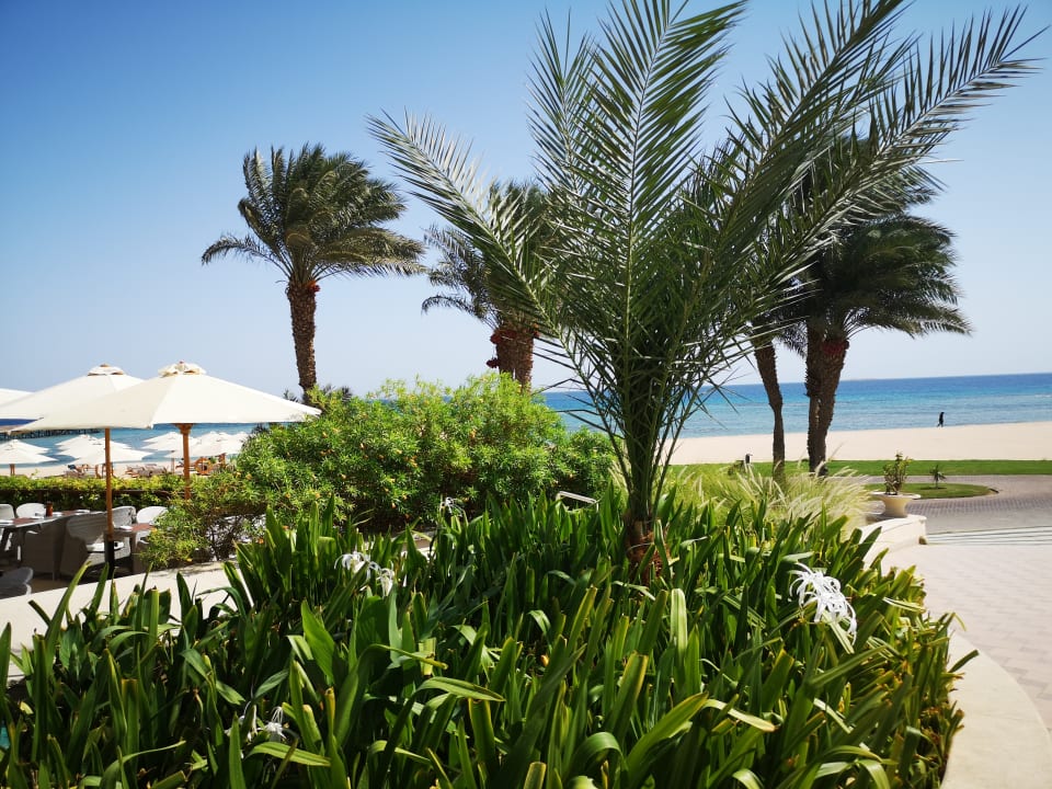 Ausblick Baron Palace Sahl Hasheesh