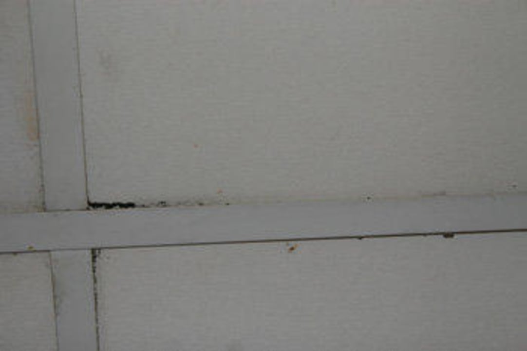 Verschimmelte Baddecke Ghazala Beach