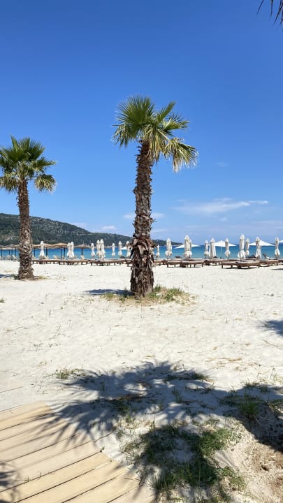 Strand Alexandra Golden Boutique - Adults only