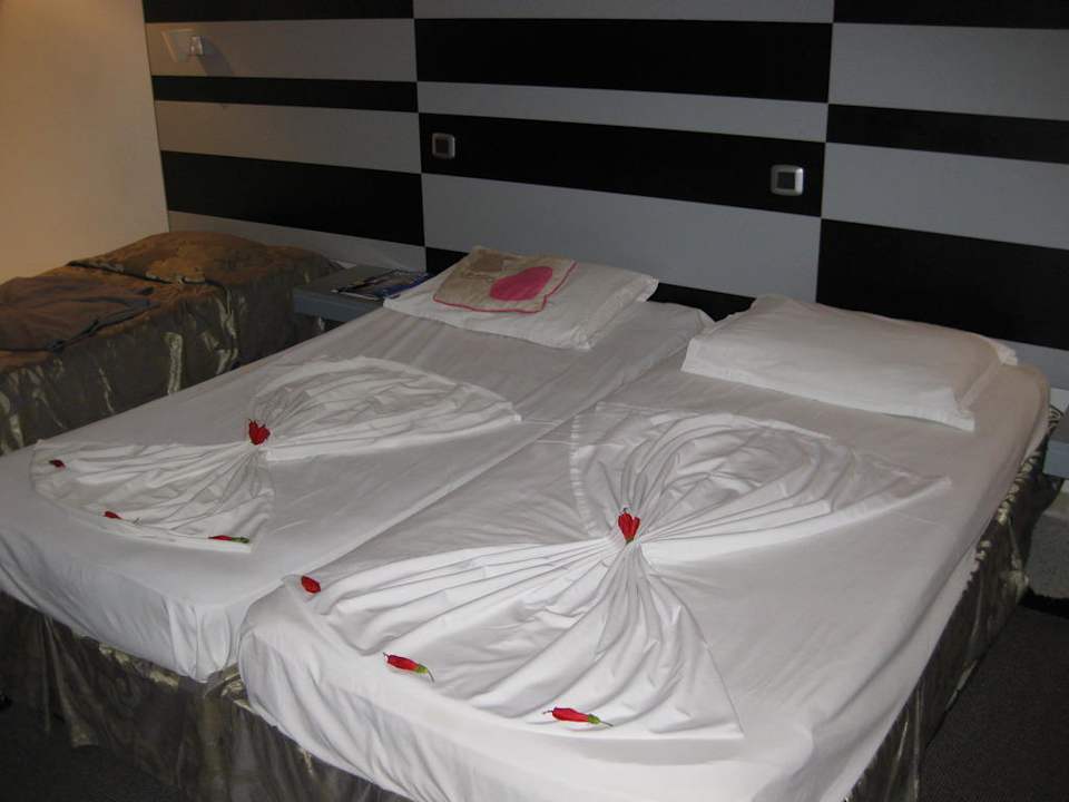 Zimmer Palmyra Holiday Resort & Spa