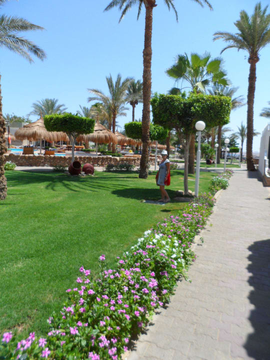 Территория Albatros Sharm Resort