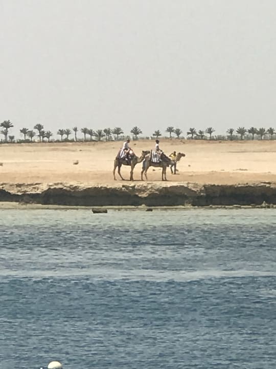 Strand Marina Resort Port Ghalib, a member of Radisson Individuals