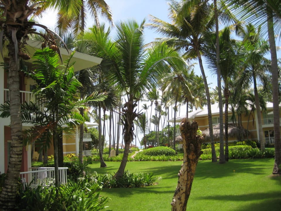 Aussicht vom Balkon Grand Palladium Select Bávaro Resort & Spa