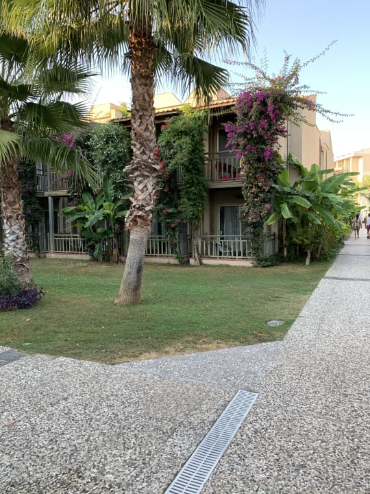 Gartenanlage Paloma Oceana