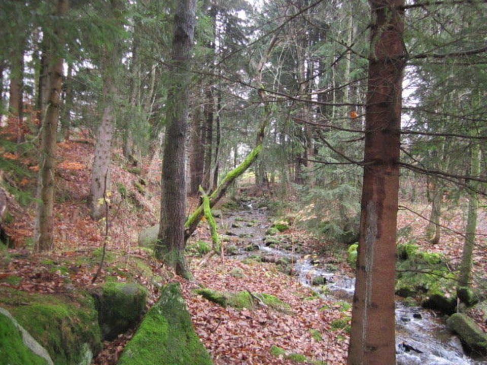 Leśniczówka Willa Anna Willa Anna