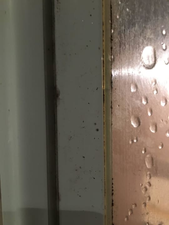 Schimmel in der Dusche Berger's Sporthotel